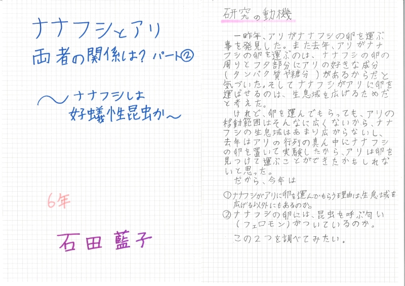 科学部門